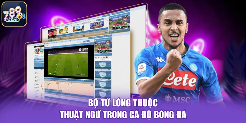 Bộ từ lóng thuộc thuật ngữ trong cá độ bóng đá