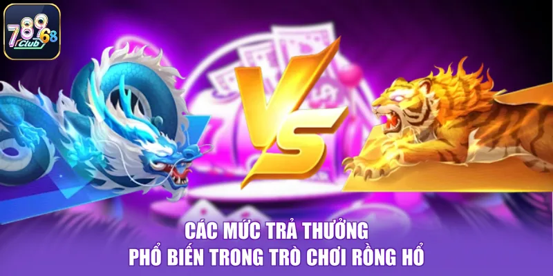 Các mức trả thưởng phổ biến trong trò chơi Rồng Hổ