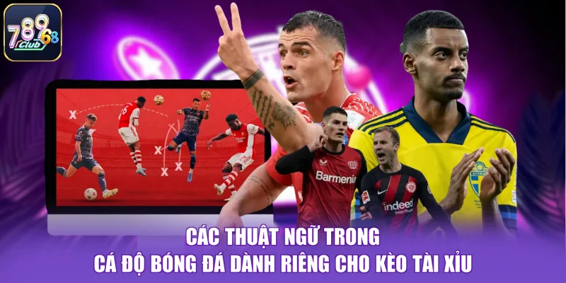 Các thuật ngữ trong cá độ bóng đá dành riêng cho kèo tài xỉu