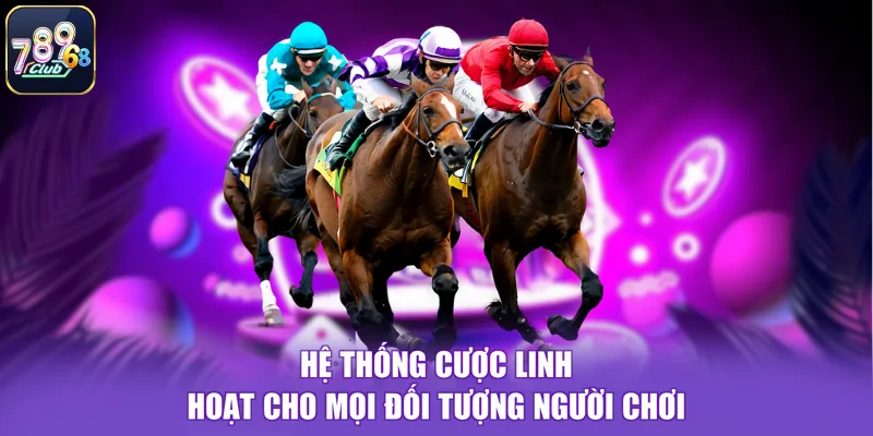 Hệ thống cược linh hoạt cho mọi đối tượng người chơi