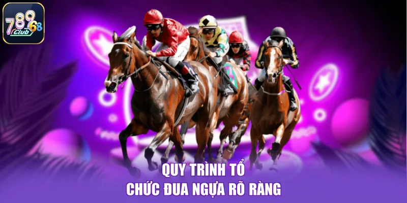 Quy trình tổ chức đua ngựa rõ ràng
