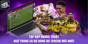 Tập Hợp Những Thuật Ngữ Trong Cá Độ Bóng Đá 789CUB Mới Nhất